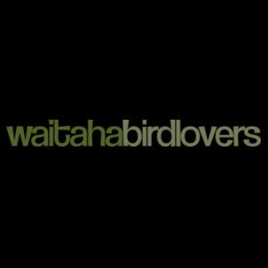Waitaha Bird Lovers 2025 Tee - AS Colour Womens Maple Tee Design